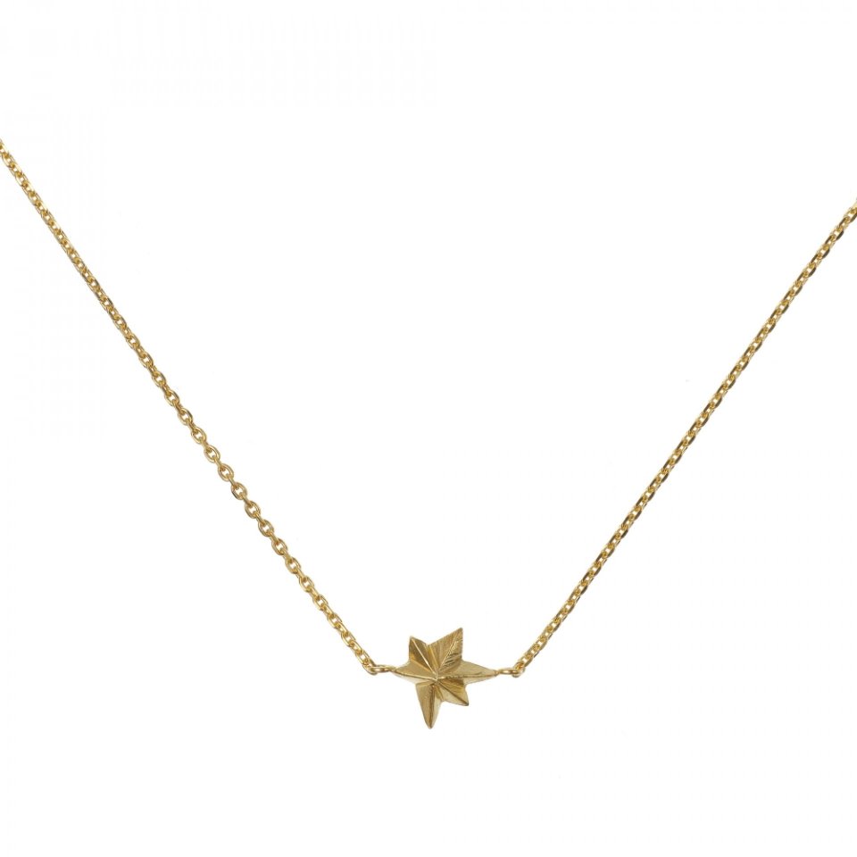 Large Star necklace